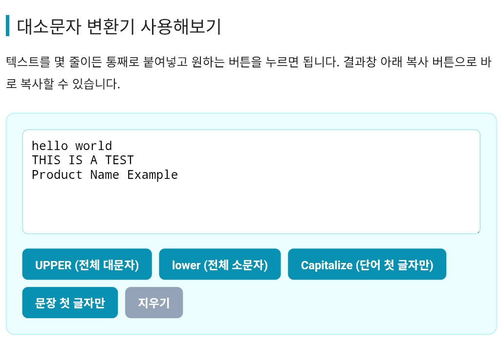 대소문자 변환기
